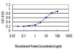 ATP2B1 Antibody in ELISA (ELISA)