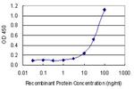 ATP2B4 Antibody in ELISA (ELISA)