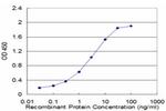 ATP4B Antibody in ELISA (ELISA)