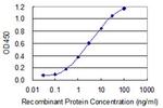 ATP6V1A Antibody in ELISA (ELISA)