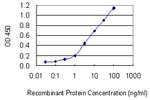 ATP6AP1 Antibody in ELISA (ELISA)