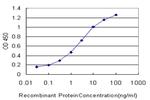 ATRX Antibody in ELISA (ELISA)