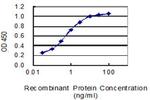 AVP Antibody in ELISA (ELISA)