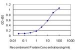 BAAT Antibody in ELISA (ELISA)