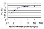 BCL9 Antibody in ELISA (ELISA)