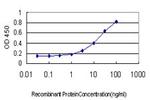 TNFRSF17 Antibody in ELISA (ELISA)