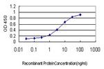 BDKRB2 Antibody in ELISA (ELISA)