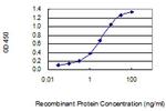 BGN Antibody in ELISA (ELISA)