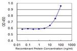 CEACAM1 Antibody in ELISA (ELISA)