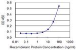 BLVRA Antibody in ELISA (ELISA)