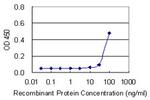 BMP7 Antibody in ELISA (ELISA)