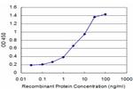 BRAF Antibody in ELISA (ELISA)