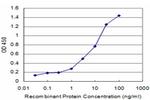 BRAF Antibody in ELISA (ELISA)