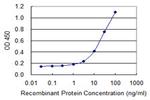 BRAF Antibody in ELISA (ELISA)