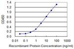 BST2 Antibody in ELISA (ELISA)