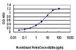 BUB1 Antibody in ELISA (ELISA)