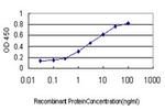 BUB1B Antibody in ELISA (ELISA)