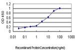 SERPING1 Antibody in ELISA (ELISA)