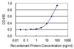 C5R1 Antibody in ELISA (ELISA)