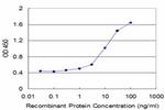 CACNA1F Antibody in ELISA (ELISA)