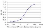 CACNB2 Antibody in ELISA (ELISA)