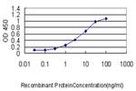 CALM2 Antibody in ELISA (ELISA)