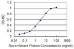 CALM3 Antibody in ELISA (ELISA)