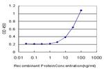 CAMK2A Antibody in ELISA (ELISA)