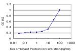 CAMK2A Antibody in ELISA (ELISA)