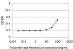 CAMK2D Antibody in ELISA (ELISA)