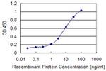 CAPN3 Antibody in ELISA (ELISA)