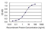 CAST Antibody in ELISA (ELISA)