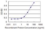 CAV3 Antibody in ELISA (ELISA)