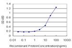 CAV3 Antibody in ELISA (ELISA)