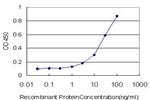 RUNX1 Antibody in ELISA (ELISA)