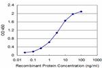 CBS Antibody in ELISA (ELISA)