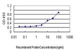 CCNH Antibody in ELISA (ELISA)