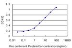 ENTPD5 Antibody in ELISA (ELISA)