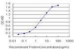 CDC2 Antibody in ELISA (ELISA)