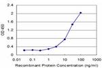 CDC5L Antibody in ELISA (ELISA)