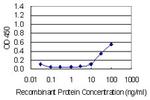 CDH11 Antibody in ELISA (ELISA)