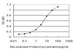 CDK4 Antibody in ELISA (ELISA)