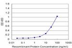 CDK4 Antibody in ELISA (ELISA)