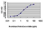 CDK8 Antibody in ELISA (ELISA)