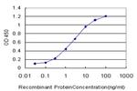 CDK8 Antibody in ELISA (ELISA)