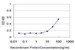 CFL1 Antibody in ELISA (ELISA)