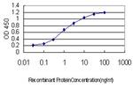 CHD4 Antibody in ELISA (ELISA)