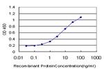 CHN1 Antibody in ELISA (ELISA)