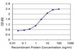 CLPS Antibody in ELISA (ELISA)