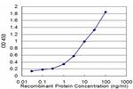 CNR1 Antibody in ELISA (ELISA)